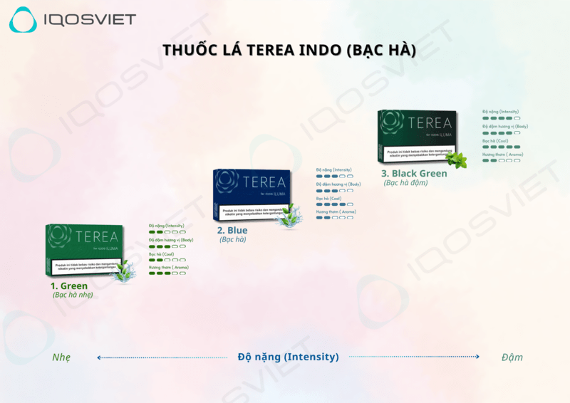 các loại thuốc iqos vị bạc hà