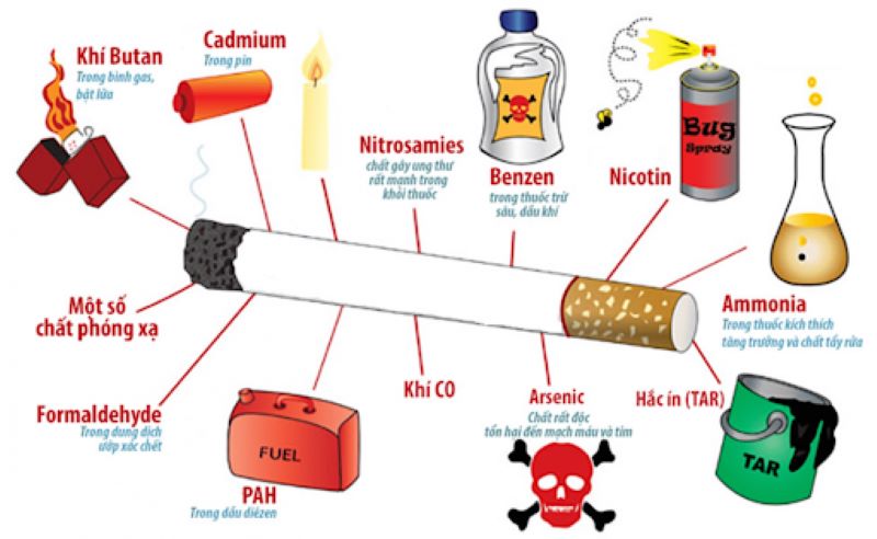 Nicotine có trong thuốc lá