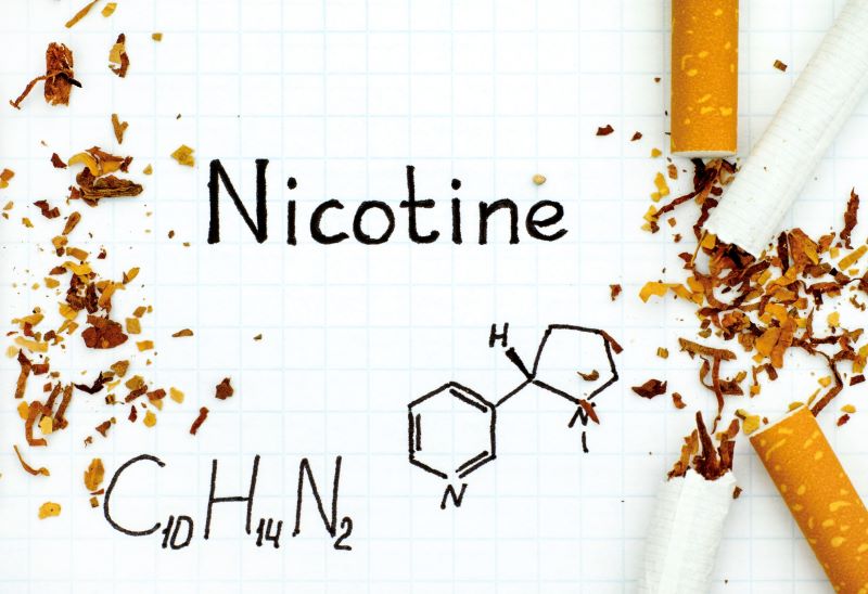 Nicotine là gì 