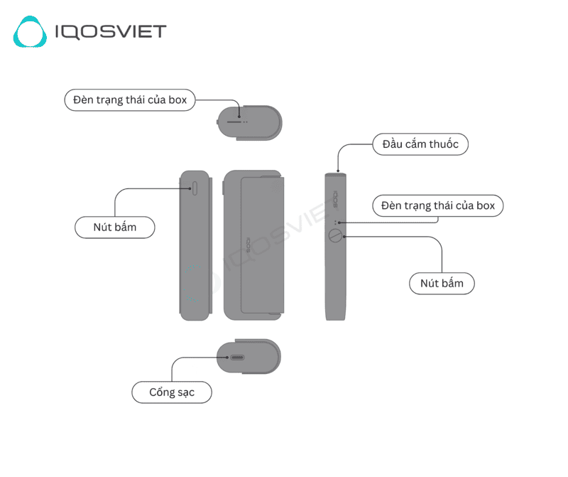 so sánh iqos và vape