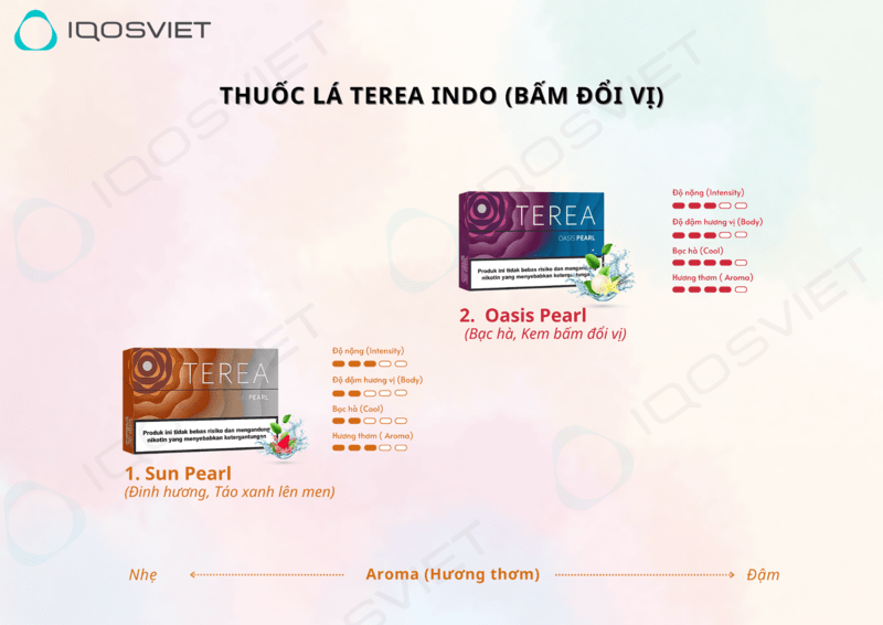 thuốc terea indo